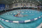 Swimming & Diving vs Babson  Swimming & Diving vs Babson College. - Photo by Keith Nordstrom : Wheaton, Swimming